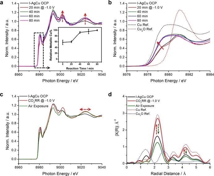 杨培东院士，最新JACS！