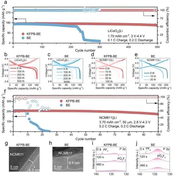 8篇顶刊速递：郭玉国、崔光磊、侴术雷、郑子剑、孙洁、周江、梁叔全、王成亮、辛森、李丽等成果集锦！