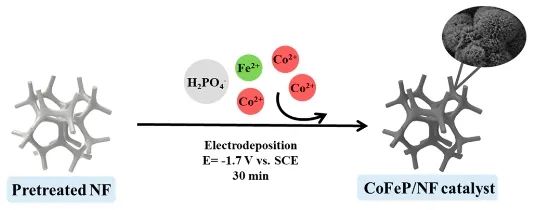 江南大学ACS Catalysis：Co-Fe协同作用立大功，实现温和条件下促进CO2转化为C6+二元酸