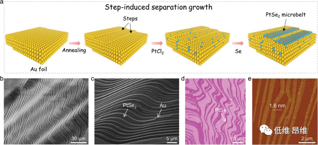 ​【DFT+实验】AFM：在Au(001)衬底上通过台阶诱导的析出生长制备大面积PtSe2微米带，用于析氢反应