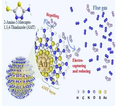 天大康鹏课题组AFM：分子修饰材料助力电化学碳捕集转化一体化