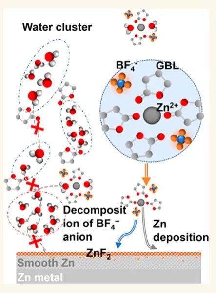 ​ACS Nano：阳离子溶剂重组和氟化中间相的协同作用实现锌金属负极的高可逆性
