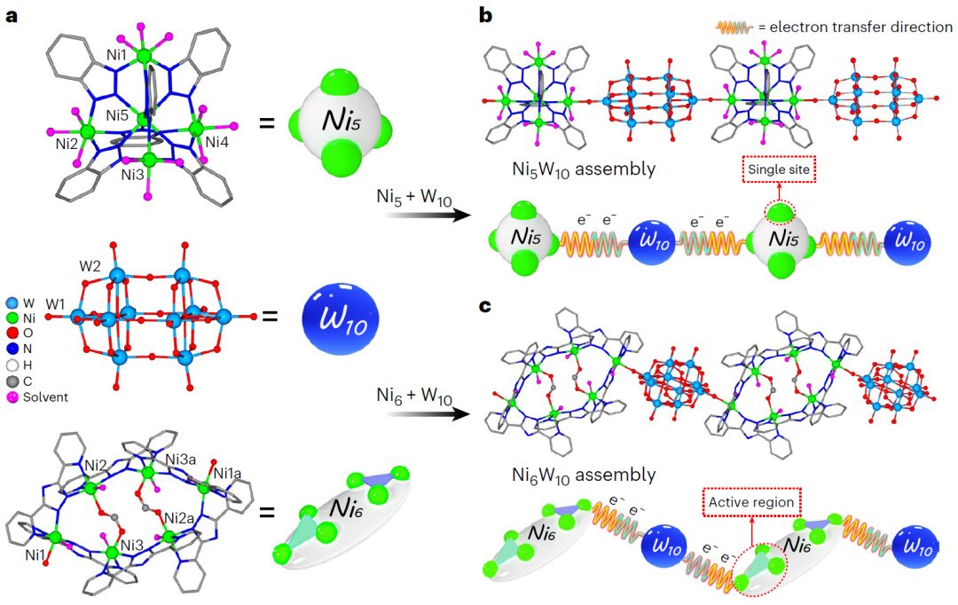 这所大学，迎来首篇Nature Synthesis！