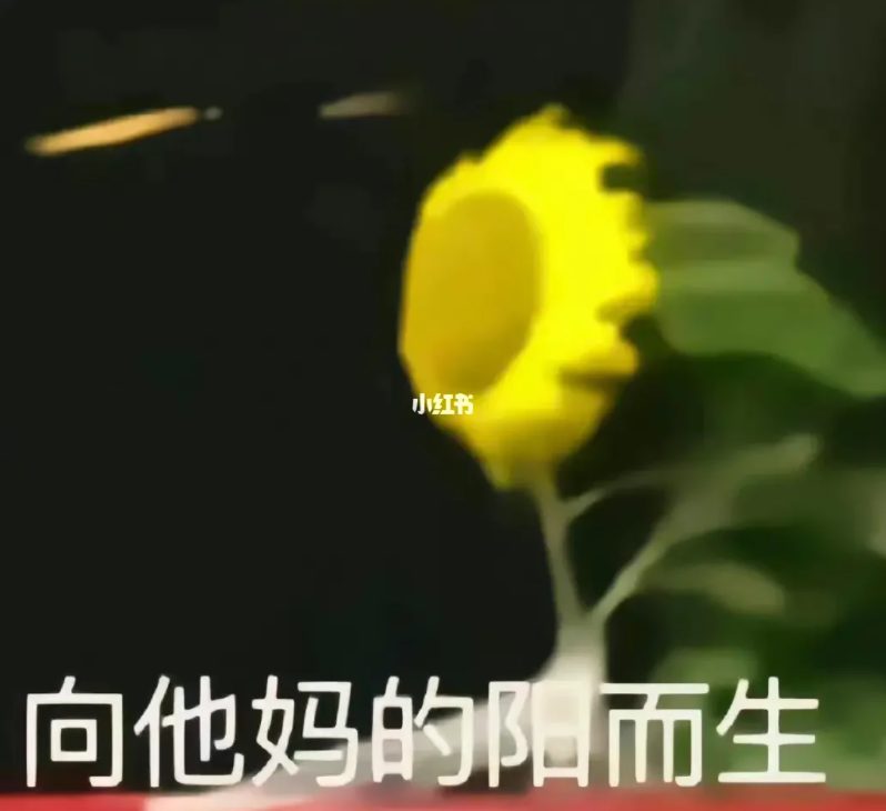 写论文写崩溃，花300找算命的算了一卦！结果......