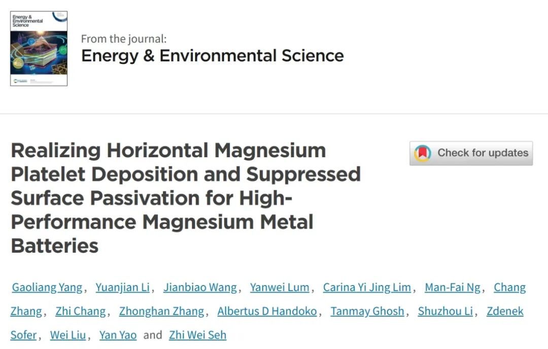 ​EES: 水平镁沉积和抑制表面钝化实现高性能镁金属电池