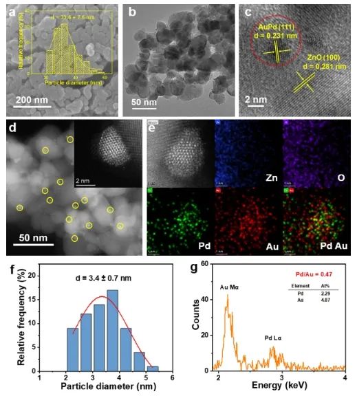 吴文婷/吴明铂ACS Catalysis：O2在Au-Pd/ZnO上快速转化为•OH，促进光催化CH4氧化制CH3OH