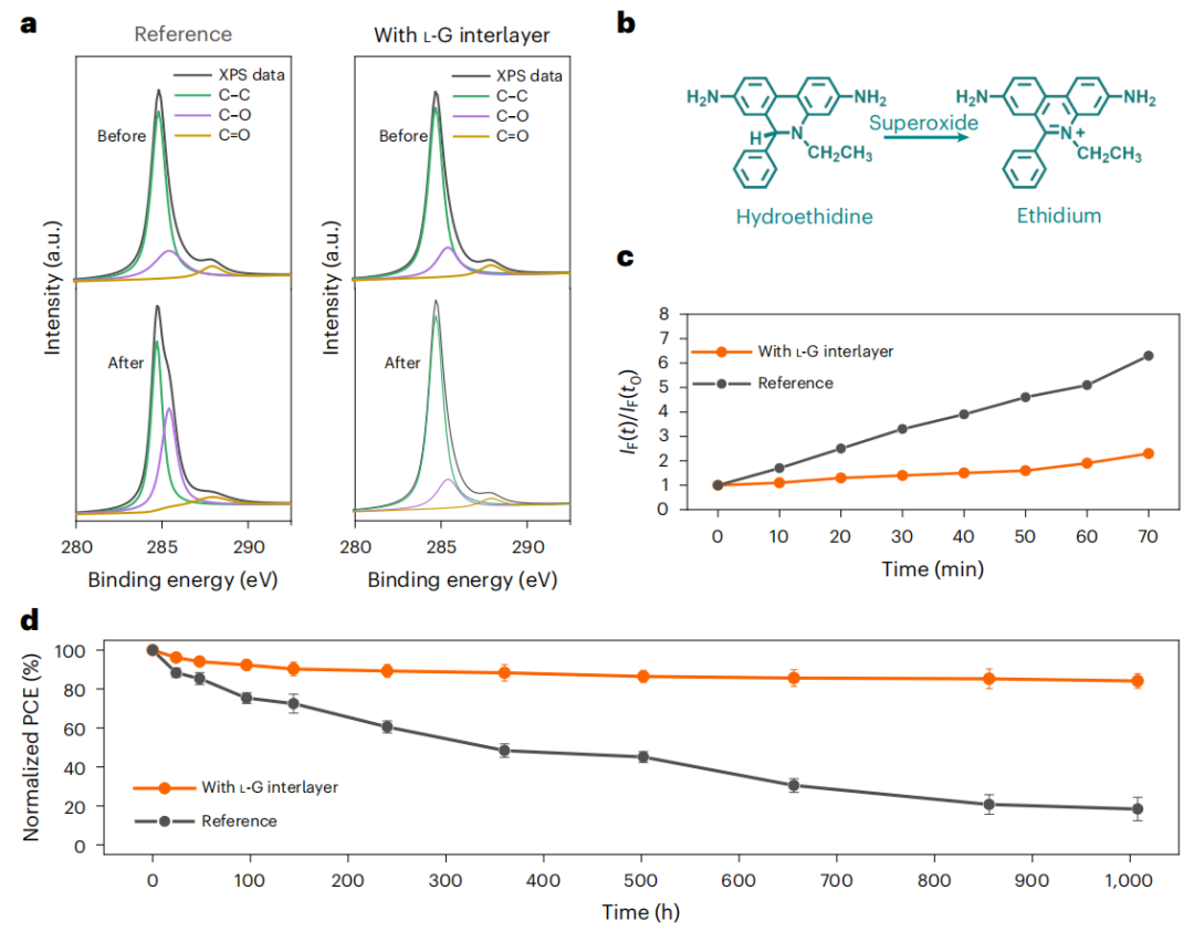 重大突破！UCLA杨阳最新Nature Sustainability！