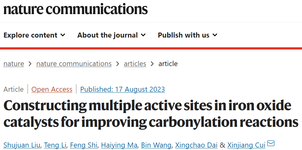 ​兰州化物所崔新江Nature子刊：多个活性位点助力羰基化反应