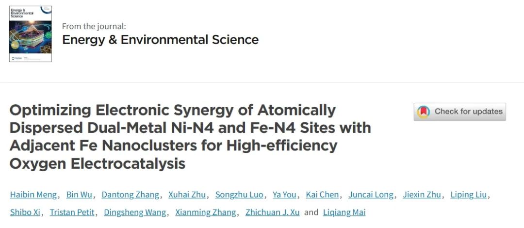 ​麦立强EES：双金属位点与相邻Fe纳米团簇的电子协同作用实现高效氧电催化