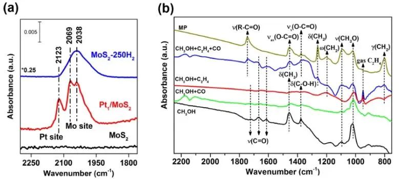 王爱琴/张磊磊/张天雨JACS：金属-载体协同立大功，助力Pt1/MoS2催化乙烯甲氧基羰基化