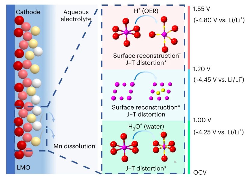 最新Nature Nanotech.：关注正极材料的降解机制