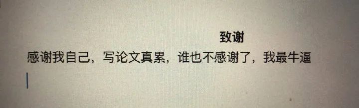 “鬼才”论文致谢刷屏！感谢我导“似导非导”的指导……