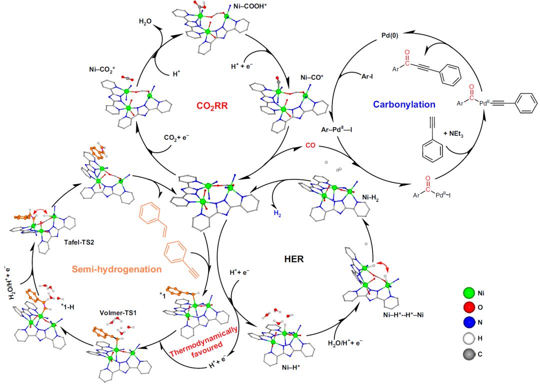 这所大学，迎来首篇Nature Synthesis！