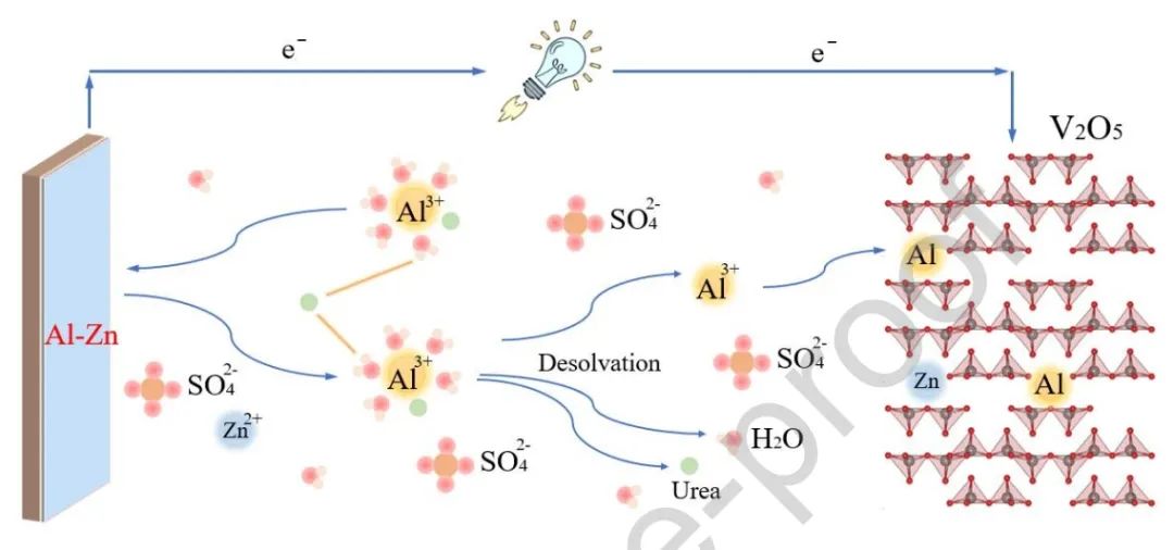 ​上交Nano Energy：尿素基水合共晶电解质用于水系铝锌混合离子电池