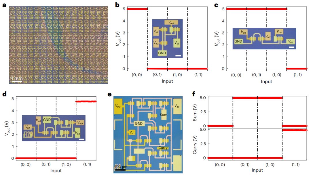 强强联合！湖大段曦东教授&刘渊教授，今日Nature Nanotechnology！