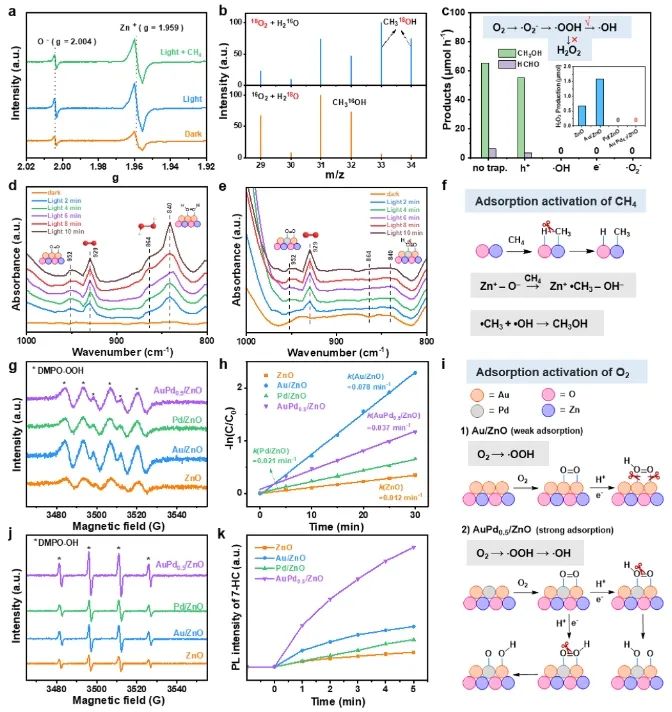 吴文婷/吴明铂ACS Catalysis：O2在Au-Pd/ZnO上快速转化为•OH，促进光催化CH4氧化制CH3OH