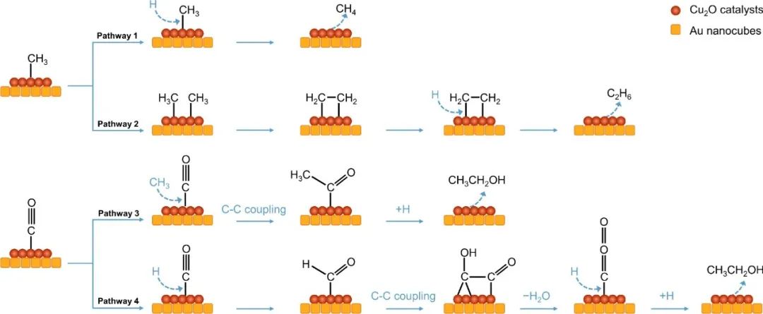 华中科技大学杨旋教授团队Nature Communications：基于金超晶格薄膜揭示电化学一氧化碳还原过程中C−C偶联机理