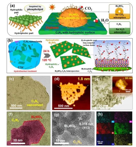 华南理工大学ACS Catalysis： 构建疏水-亲水双相异质结，有效促进光催化CO2还原