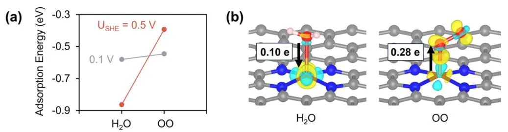 JACS：Fe-N-C催化剂在氧还原反应中的决速步是什么?