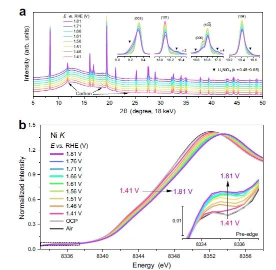 上海应物所张林娟团队，最新Nature子刊！