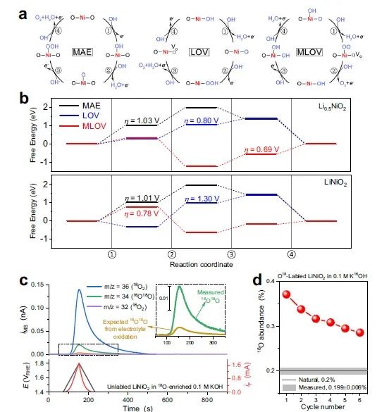 上海应物所张林娟团队，最新Nature子刊！