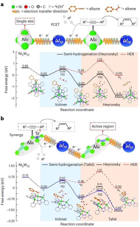 这所大学，迎来首篇Nature Synthesis！