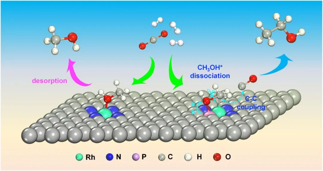 江南大学刘小浩团队ACB：磷的亲氧性强化C-O键解离助力CO2加氢从甲醇到乙醇可切换合成