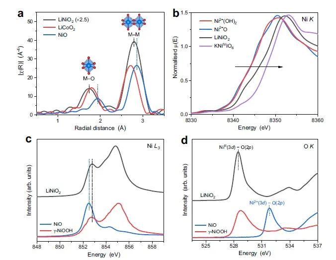 上海应物所张林娟团队，最新Nature子刊！