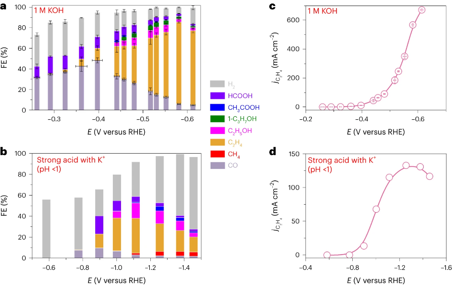 香港理工大学，最新Nature Energy！