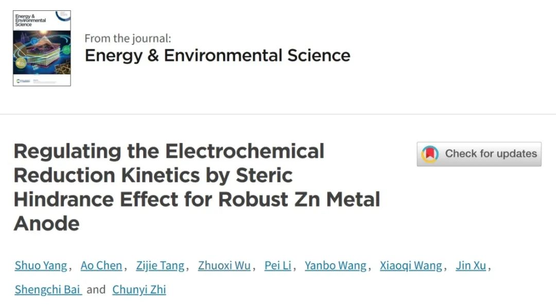 ​支春义EES：空间位阻效应调节锌金属负极的电化学还原动力学