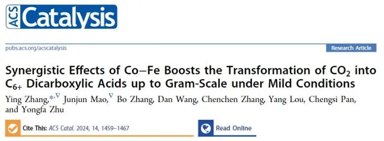 江南大学ACS Catalysis：Co-Fe协同作用立大功，实现温和条件下促进CO2转化为C6+二元酸