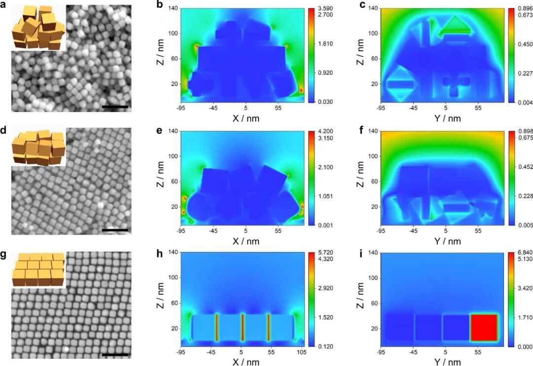 华中科技大学杨旋教授团队Nature Communications：基于金超晶格薄膜揭示电化学一氧化碳还原过程中C−C偶联机理