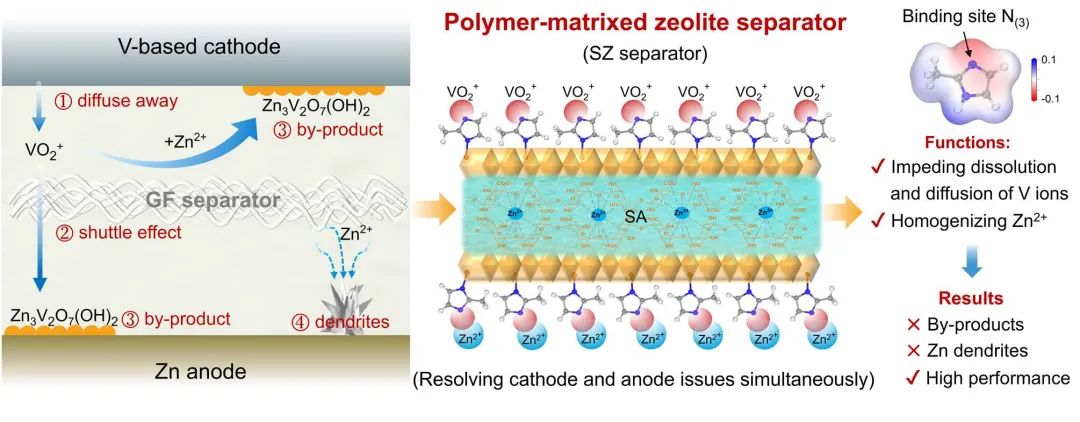 ​松山湖实验室Angew：沸石基隔膜抑制阴极活性材料溶解，获得耐用水系锌电池