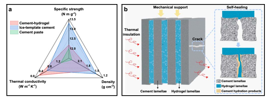 史上最韧复合水泥问世！东南大学重磅成果，登上Nature子刊！