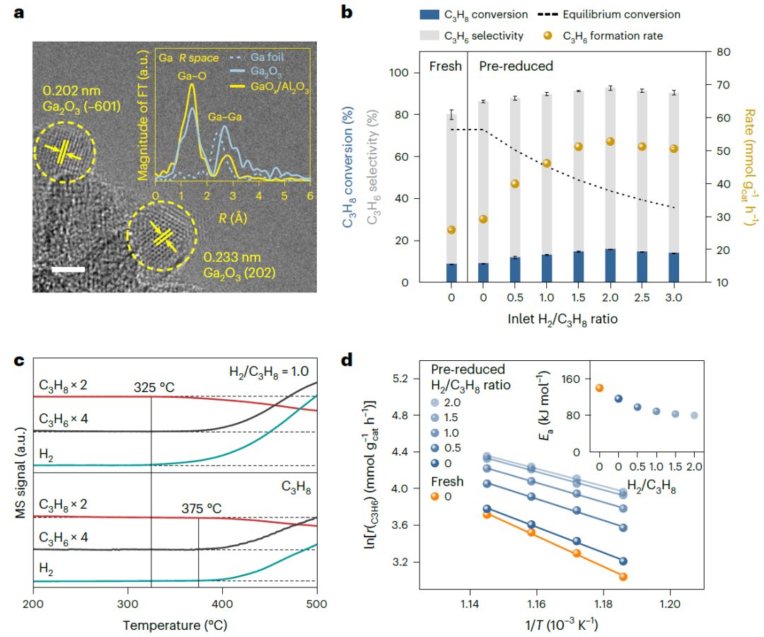 巩金龙教授，最新Nature Chemistry！