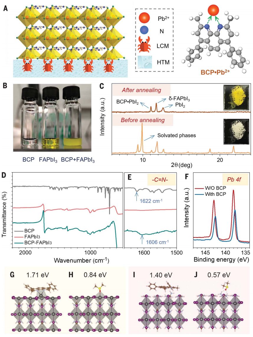 太牛了，这个领域两天3篇Nature+1篇Science！