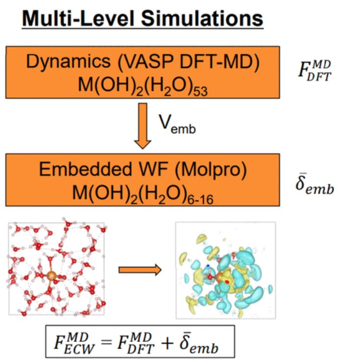 【纯计算】JACS：用多级量子力学/分子动力学模拟探讨水溶液中Mg和Ca离子的pH依赖脱水动力学