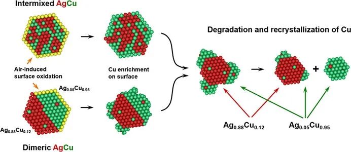 杨培东院士，最新JACS！