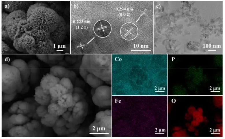 江南大学ACS Catalysis：Co-Fe协同作用立大功，实现温和条件下促进CO2转化为C6+二元酸