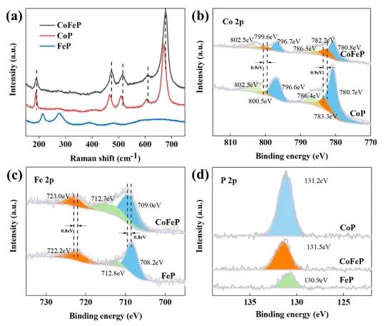 江南大学ACS Catalysis：Co-Fe协同作用立大功，实现温和条件下促进CO2转化为C6+二元酸