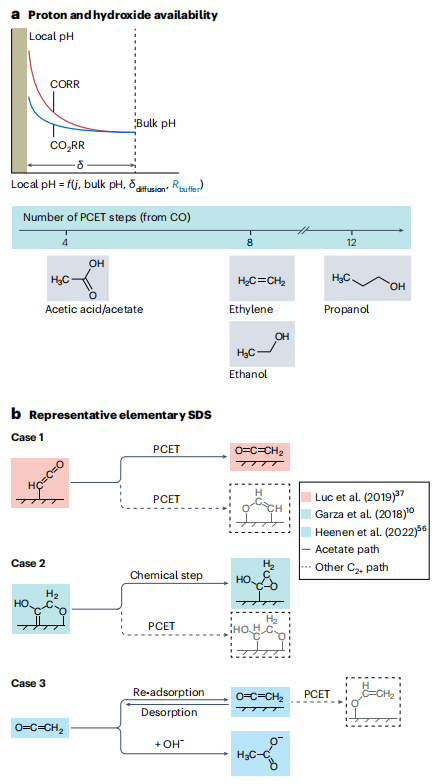 汪淏田教授，最新Nature Catalysis！