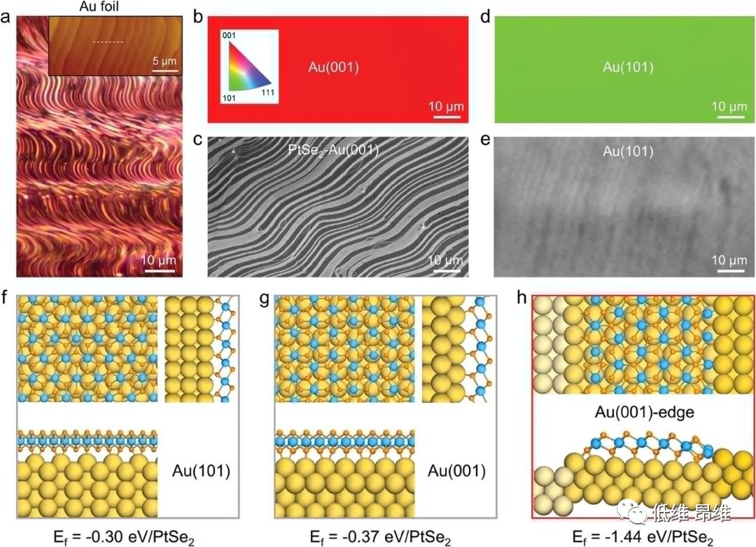 ​【DFT+实验】AFM：在Au(001)衬底上通过台阶诱导的析出生长制备大面积PtSe2微米带，用于析氢反应