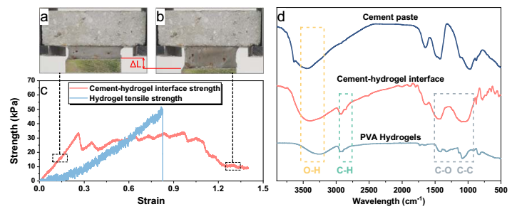 史上最韧复合水泥问世！东南大学重磅成果，登上Nature子刊！