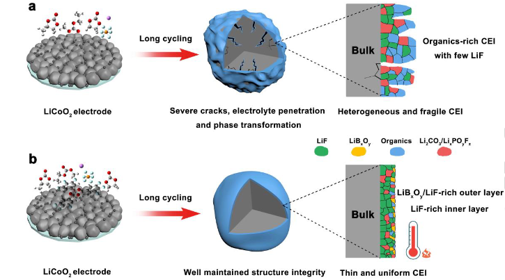 【DFT+实验】湖南大学马建民Angew  CEI构建实现4.6V和70°C Li||LiCoO2电池