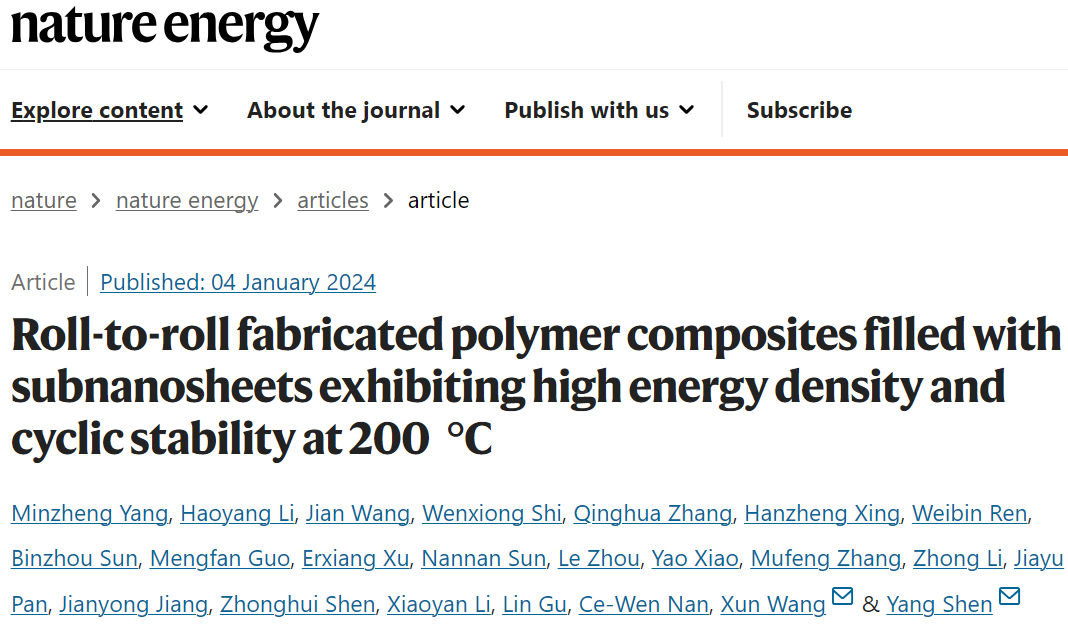 清华沈洋/王训，最新Nature Energy！