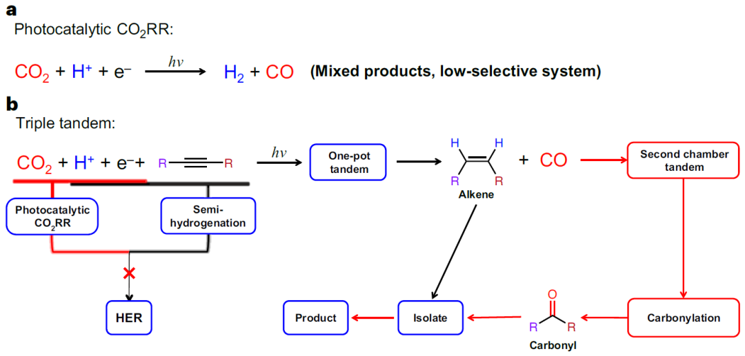 这所大学，迎来首篇Nature Synthesis！