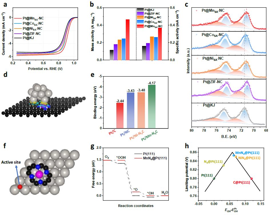 纽约州立大学布法罗分校武刚JACS：碳载体中单金属原子位点与Pt之间强耦合效应调节Pt和PtCo金属间化合物电催化性能和热稳定性