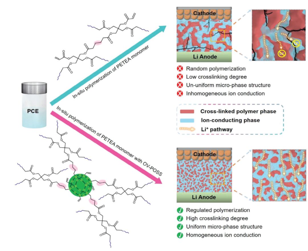 【DFT+实验】浙江大学陆俊教授团队AFM：准固态锂金属电池塑料晶体凝胶聚合物电解质中微相结构的调节