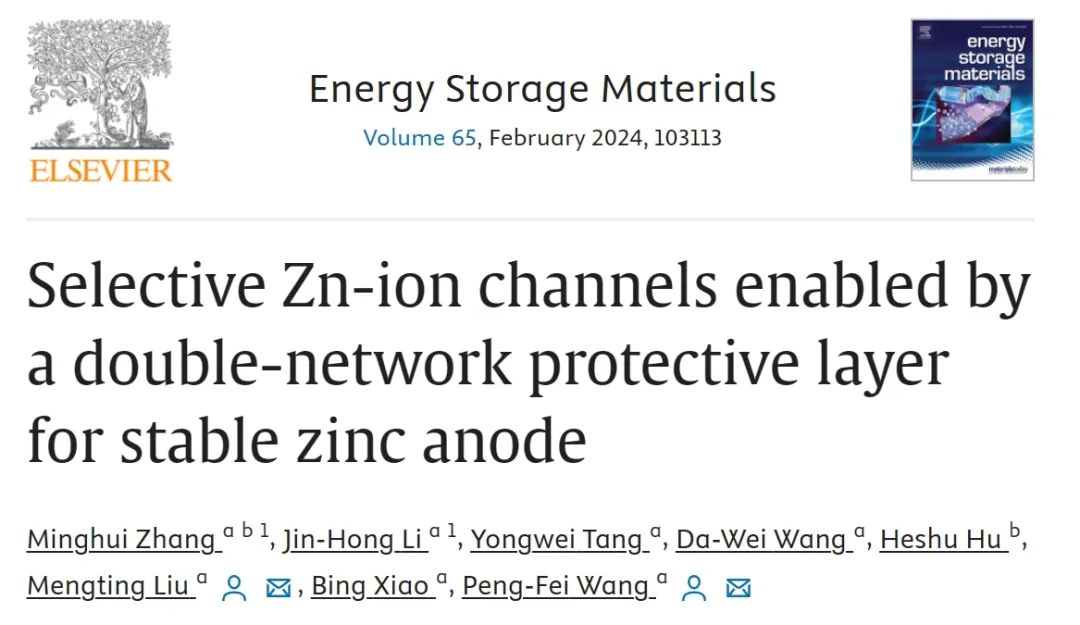 ​西交王鹏飞/刘梦婷EnSM：具有选择性锌离子通道的双网络保护层实现稳定锌负极