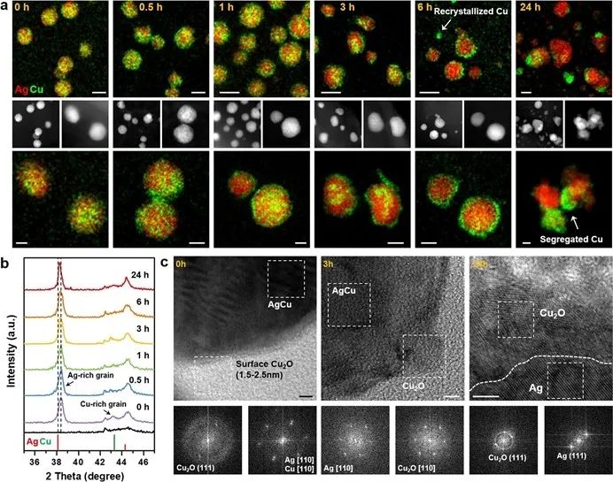 杨培东院士，最新JACS！